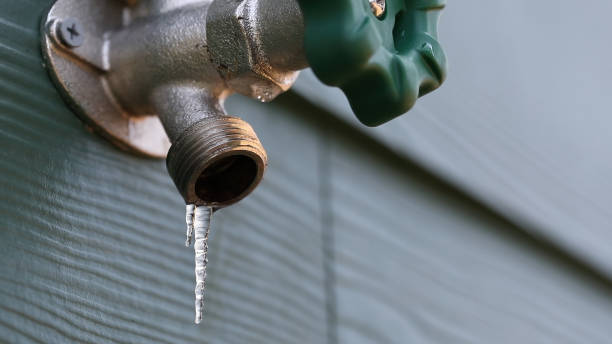 Best Sewer Line Repair  in Belmar, NJ